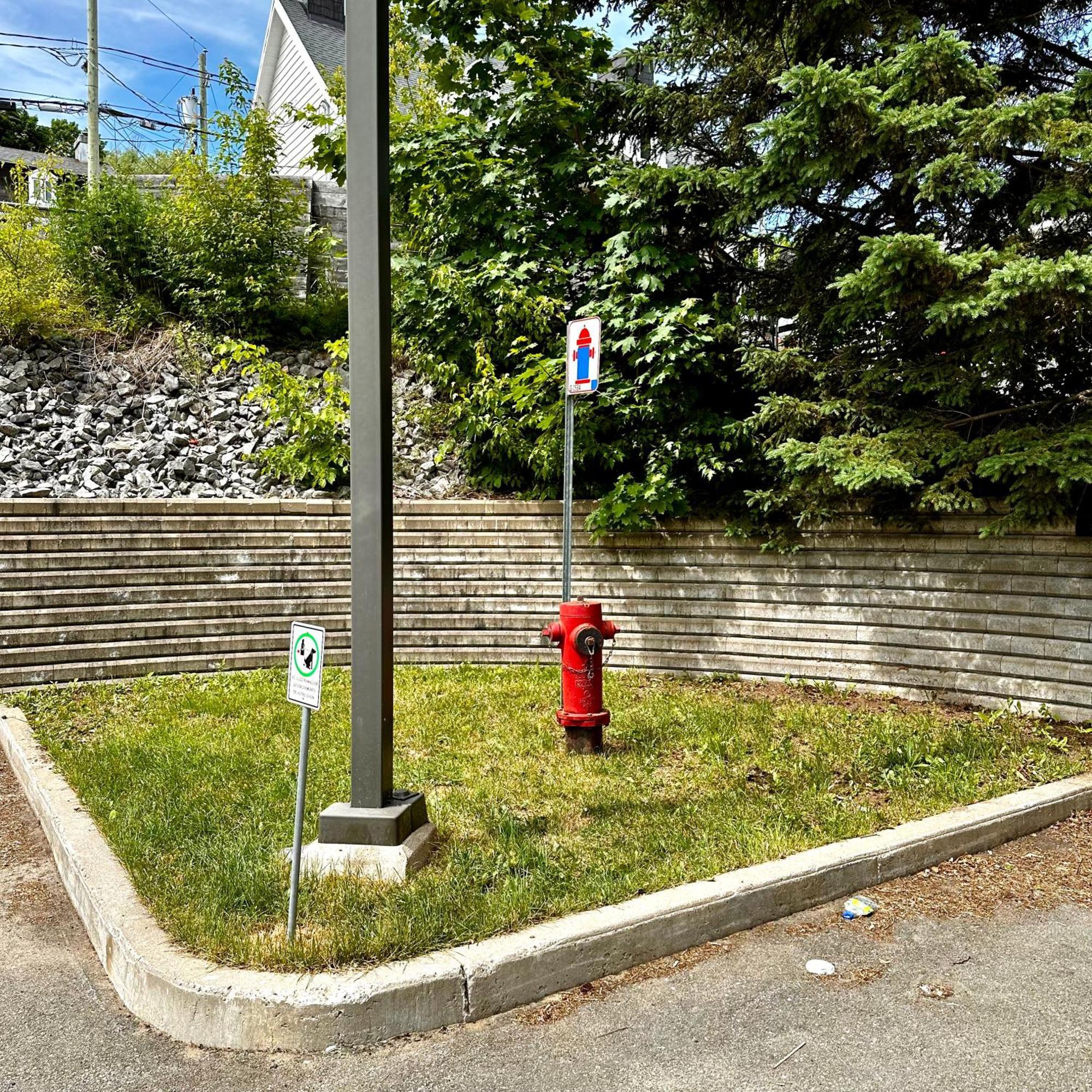 Initial - Cavalier - Chutes-Montmorency Apartment Boischatel Exterior photo